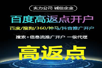 百度竞价代运营公司成功案例揭秘：策略与执行